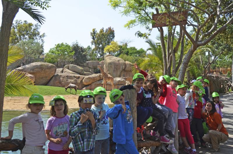 Expedición África - BIOPARC Valencia - escuela de vacaciones - expertos en jirafas