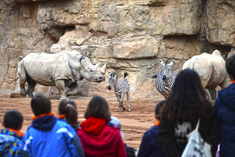 Diciembre 2018 - Expedición África en BIOPARC Valencia