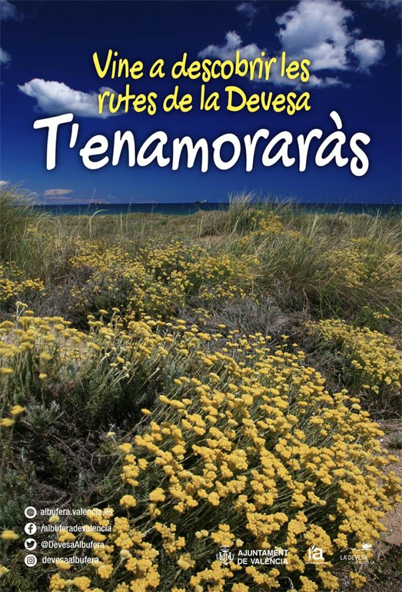 Itinerarios Devesa-Albufera