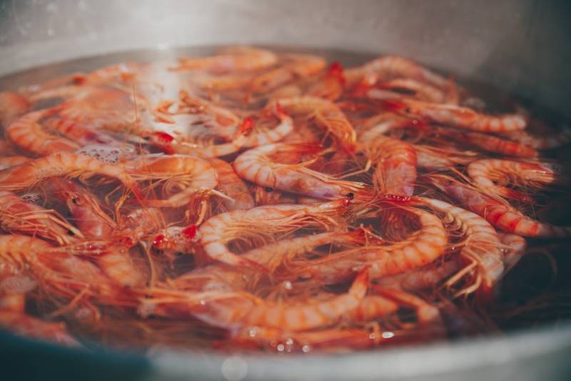 DNA Festival Gastronomic Denia - 30 de septiembre de 2017 DNA Festival Gastronomic Denia - 30 de septiembre de 2017
