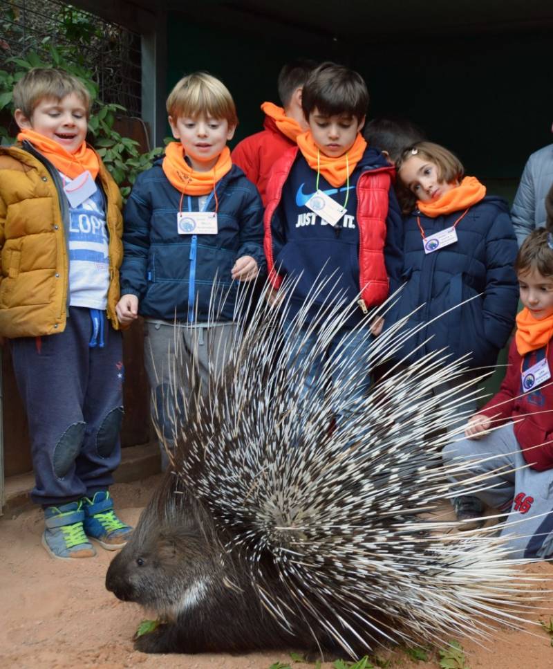 Bioparc Valencia, Navidad