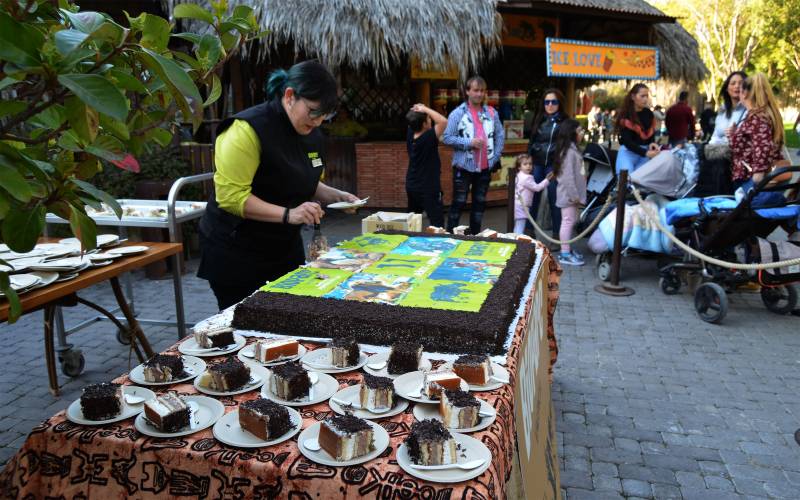 11 Aniversario BIOPARC Valencia - tarta 