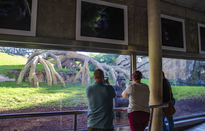 Octubre 2019 - BIOPARC Valencia - Expo fotos 