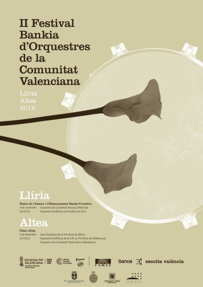 Cartel del Festival de Orquestas 2019