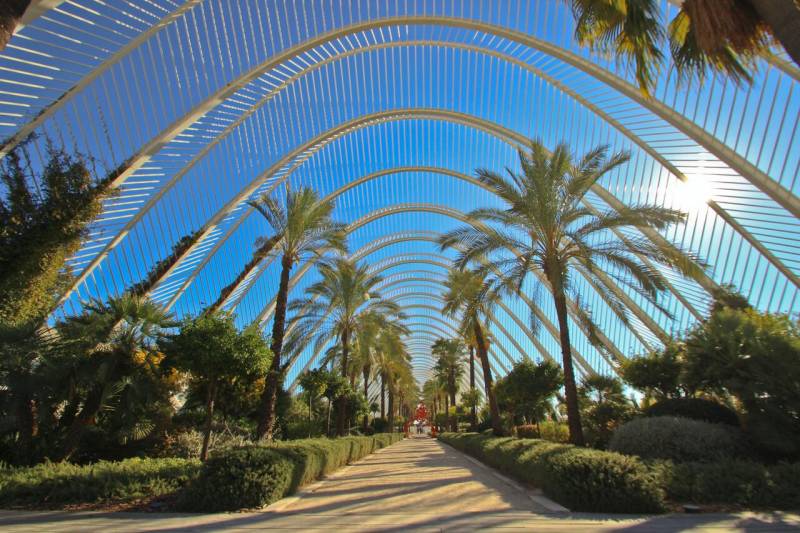 Turistas verano, centro Valencia 