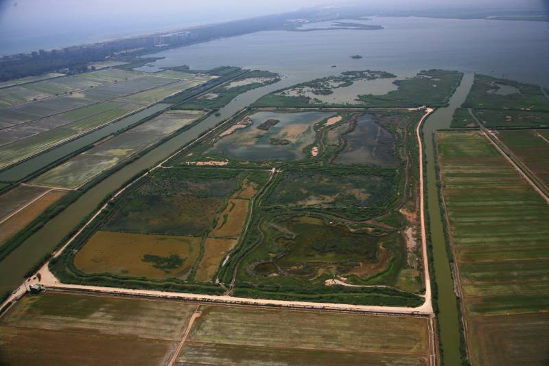 Tancat de la Pipa Albufera