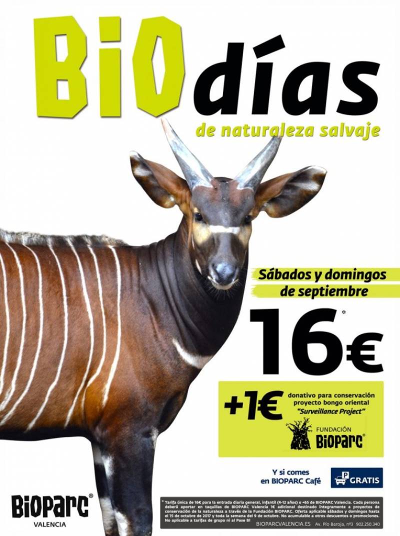 Promoción BIOdías