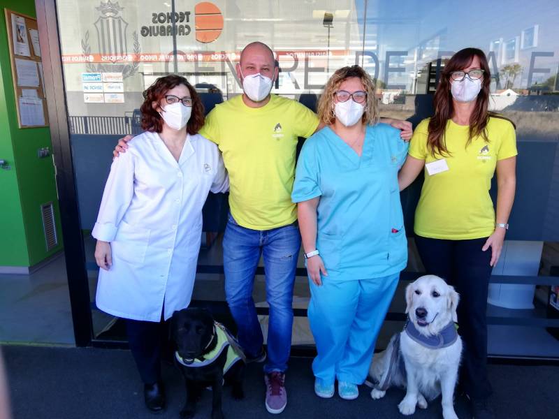 Fundación Acavall y AFAV emprenden un programa de terapia asistida con perros orientado a personas con alzhéimer con el apoyo del CE/R+S./ EPDA