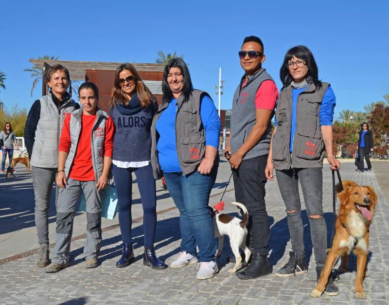 Varios de los voluntarios que participaron en el desfile de hace dos años. //VIUVALENCIA