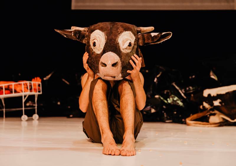 Espectacle La vaca que riu - Foto Nerea Coll Espectacle La vaca que riu - Foto Nerea Coll