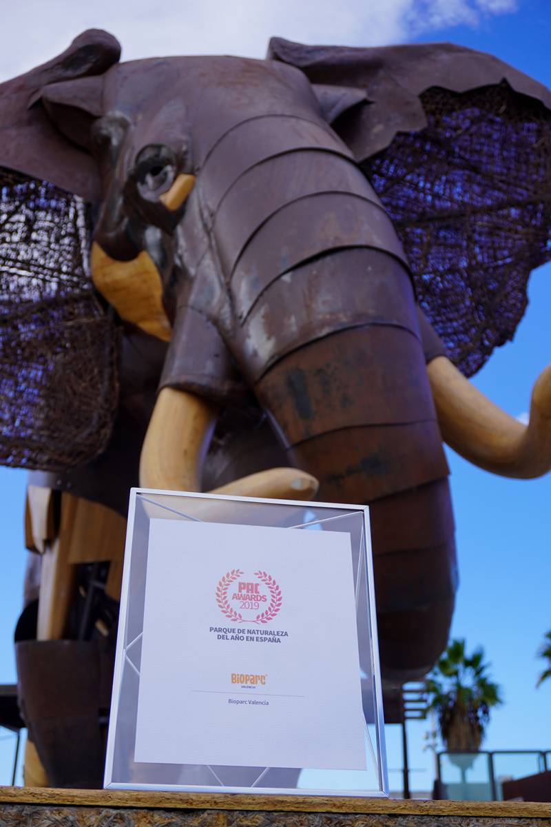Premio PAC awards 2019 BIOPARC Valencia Premio PAC awards 2019 BIOPARC Valencia