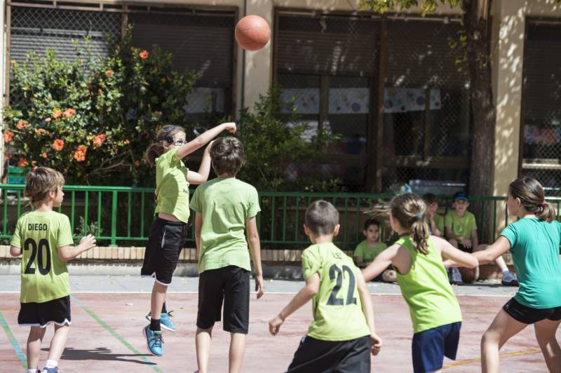 Escuelas de baloncesto