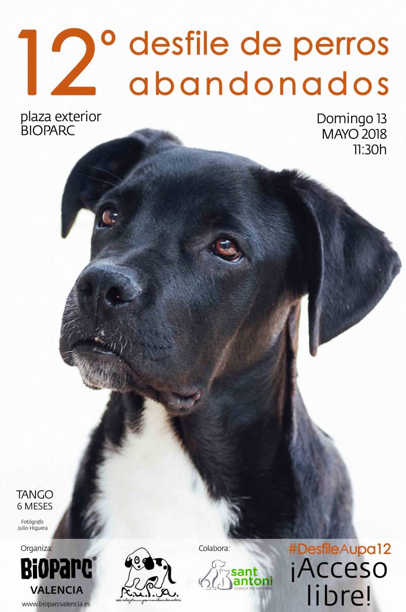 Cartel AUPA - 12º desfile perros - BIOPARC mayo 2018 