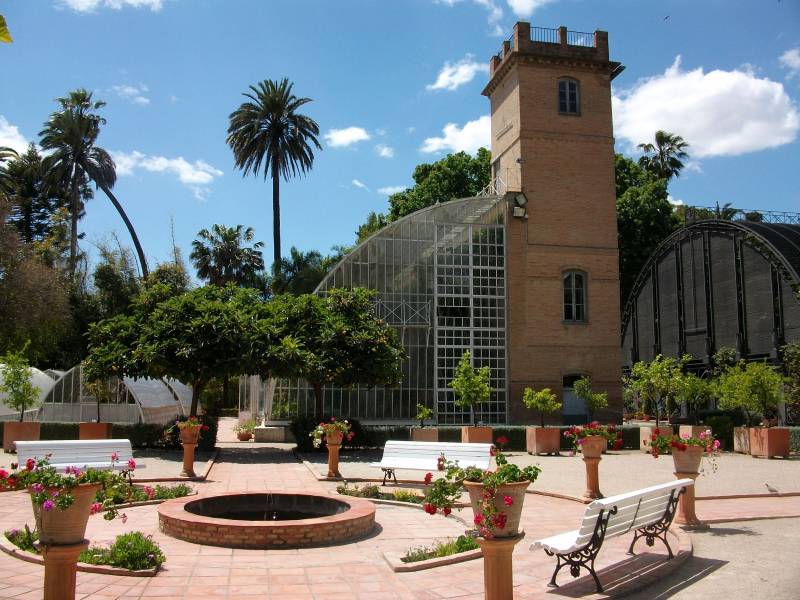 El Jardí Botànic de la Universitat de València albergarà la consulta ciutadana del projecte CONCISE a Espanya. Autor: Joanbanjo