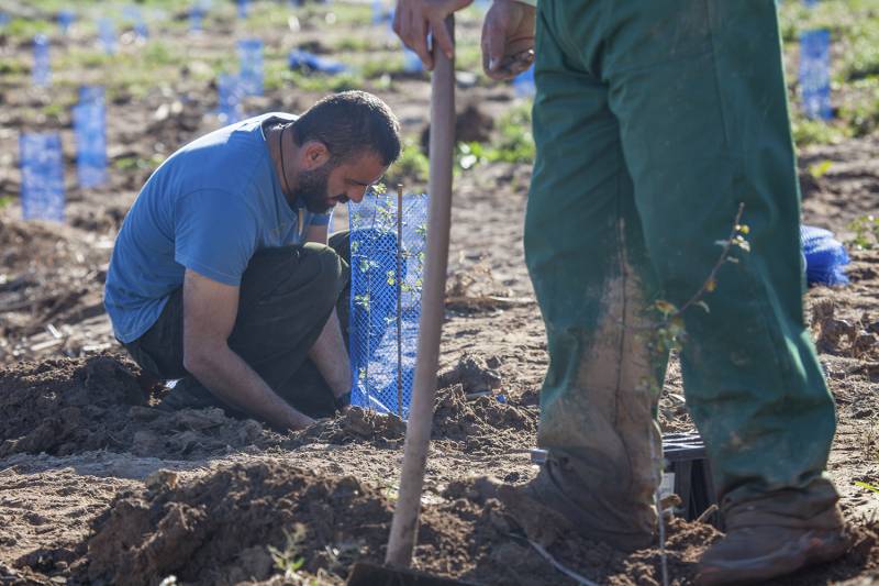 Trabajos del Proyecto Cañaveral en el Barranco del Poyo