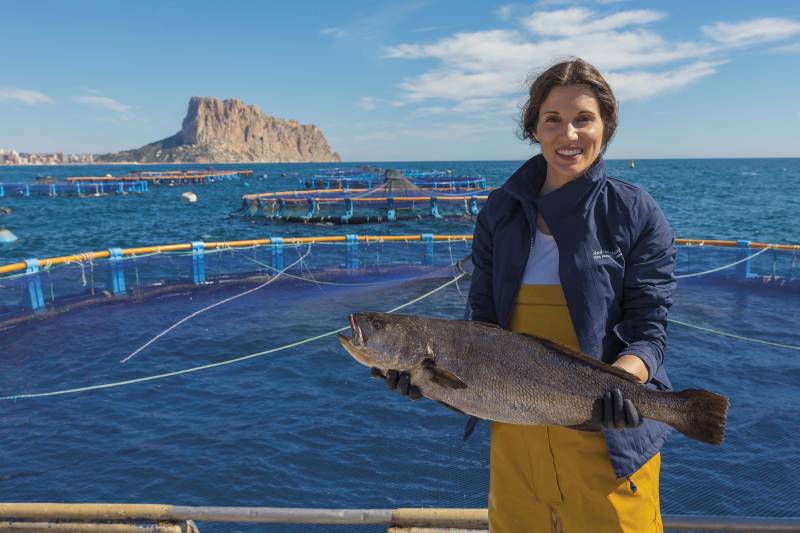 Granja marina de cultivo de corvina de FRESCAMAR ALIMENTACIÓN en Calpe (Alicante)