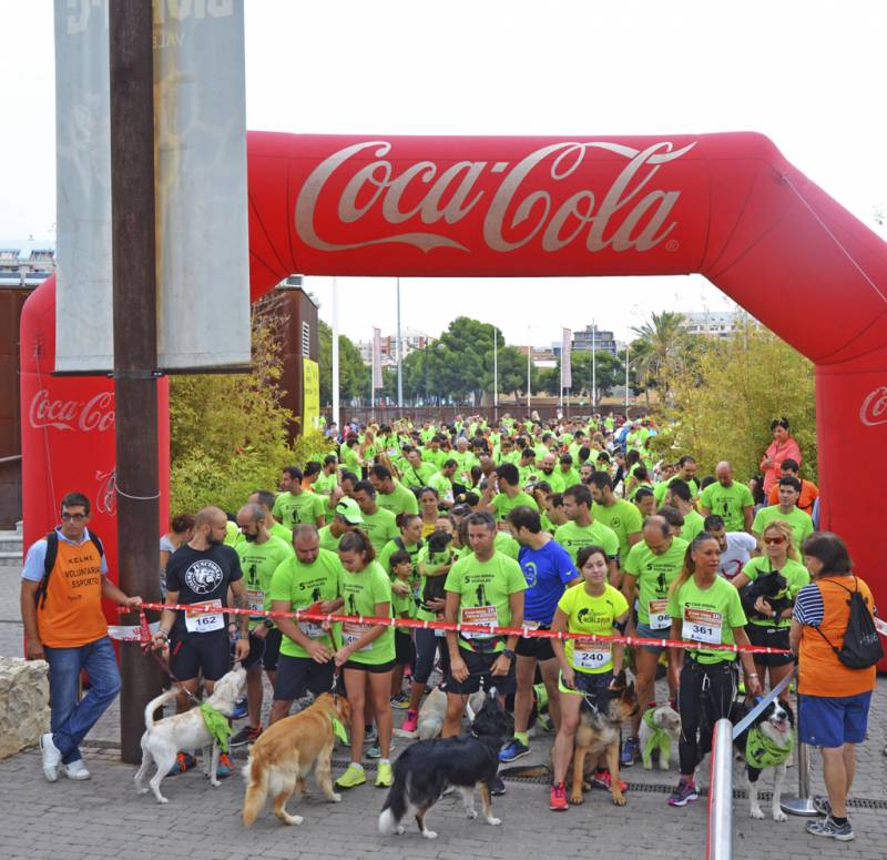 CAN-RRERA solidaria de BIOPARC - salida