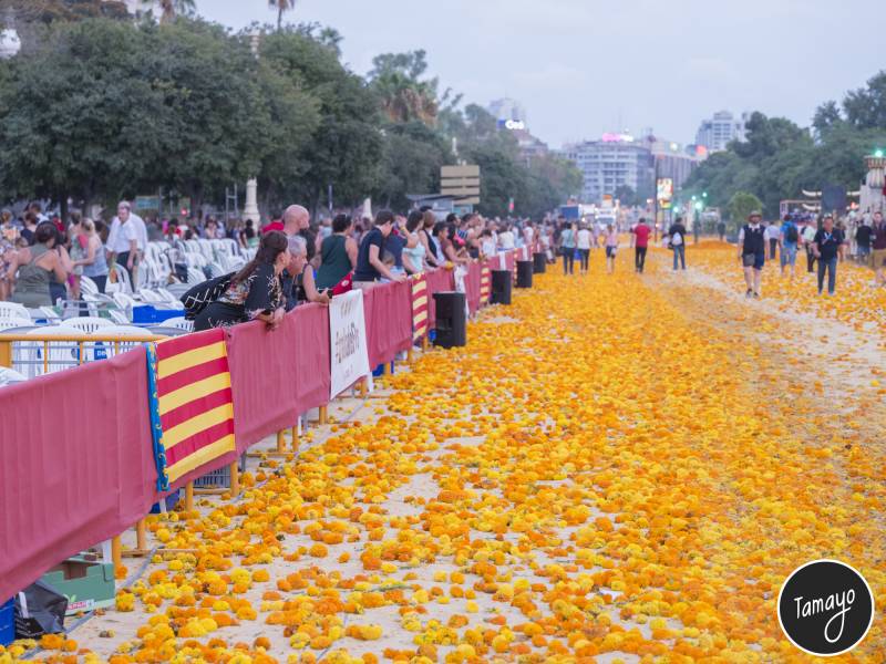 Batalla de Flors // Tamayo