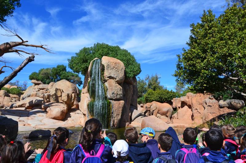 Grupo escolar - lago de elefantes - BIOPARC Valencia