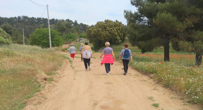 Ardillas en el Jardín del Turia. EPDA