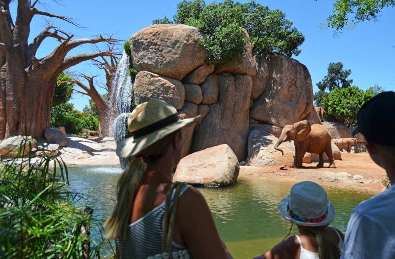 Turistas en la Sabana africana de BIOPARC Valencia - verano 2018