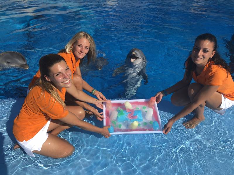 Cumple Nilo, tarta helada hecha de pescado y hielo para reforzar su hidratación