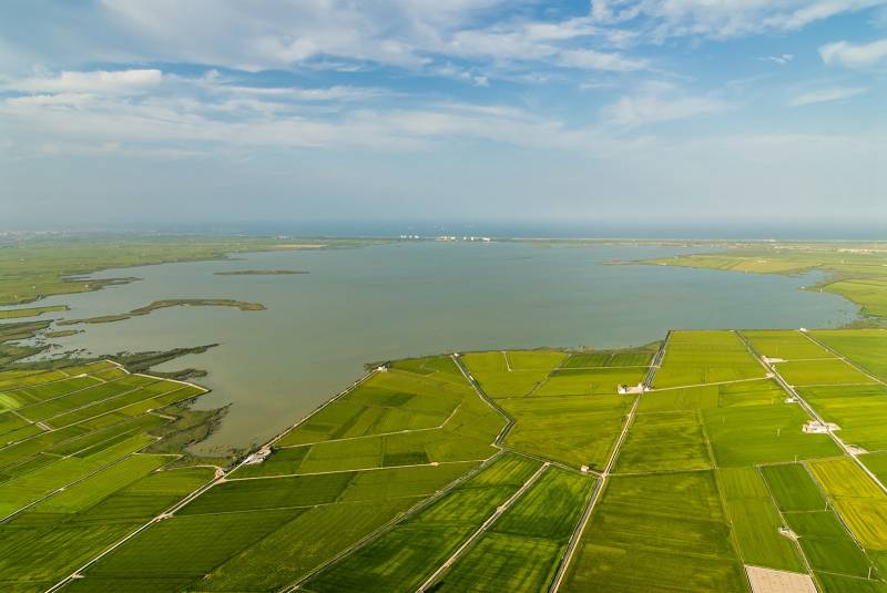 L´Albufera - Foto: Carlos Oltra