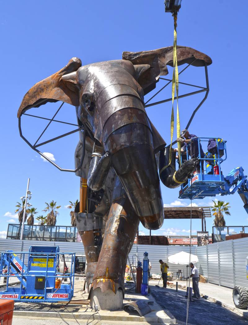 El majestuoso elefante de la plaza exterior de BIOPARC Valencia se llamará Escipión - Montaje colmillos - frontal
