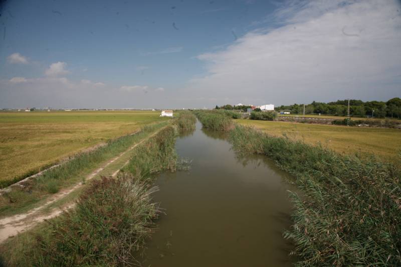 Limpieza Albufera