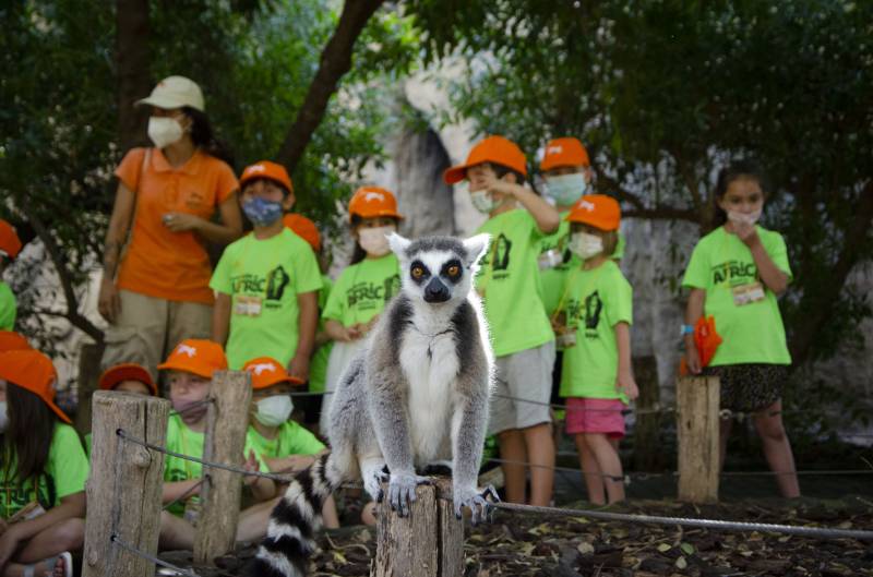 Expedición África en la isla de Madagascar./EPDA