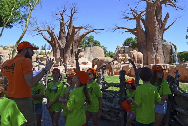 Expedición África - Escuela de vacaciones BIOPARC Valencia Expedición África - Escuela de vacaciones BIOPARC Valencia