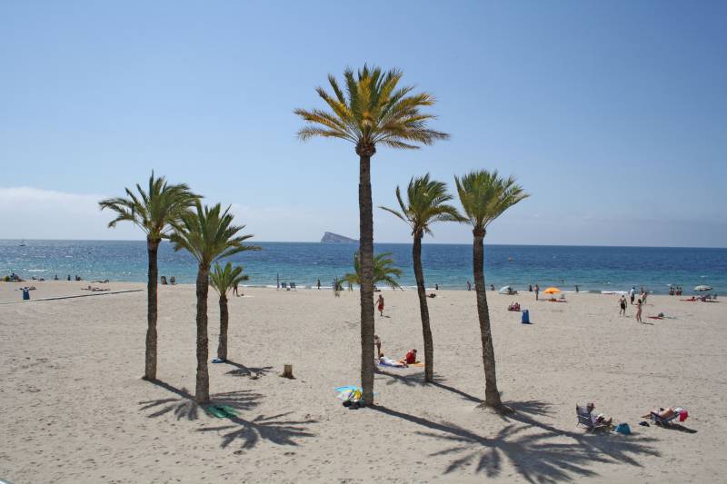 Playa Benidorm