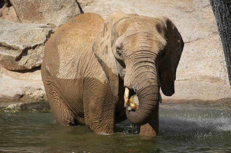 Imagen de archivo Bioparc./ EPDA