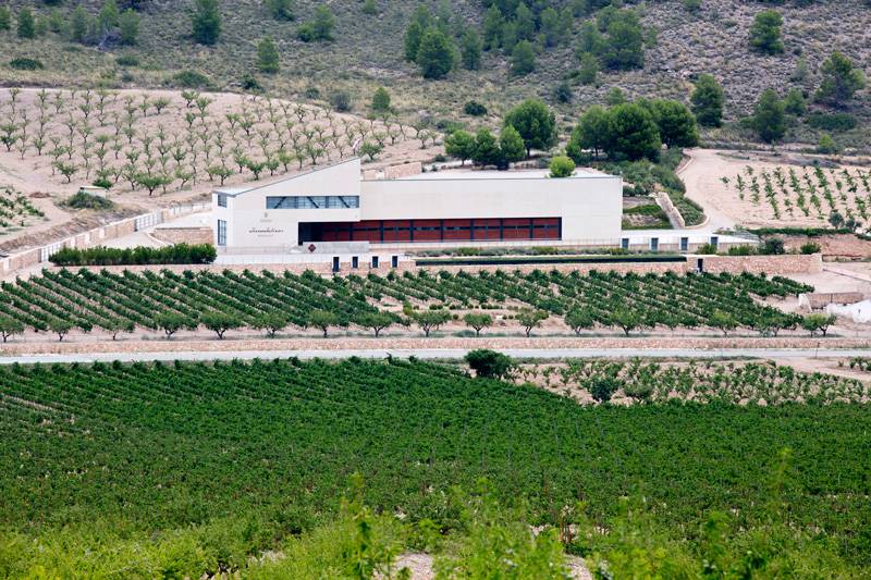 Bodegas MGWines Sierra Salinas en Alicante.