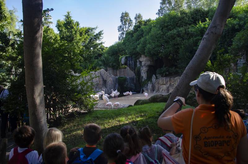 Octubre 2019 - BIOPARC Valencia - grupo escolar