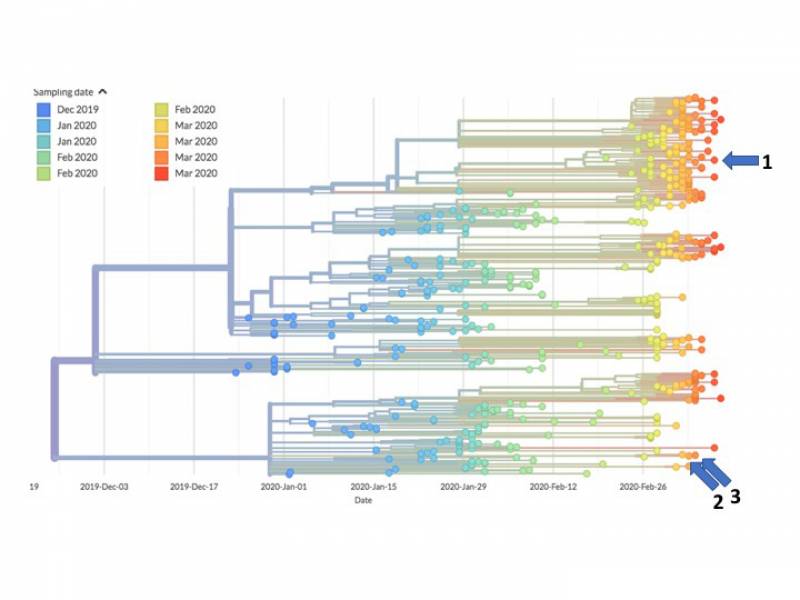 Phylogeny2 Phylogeny2