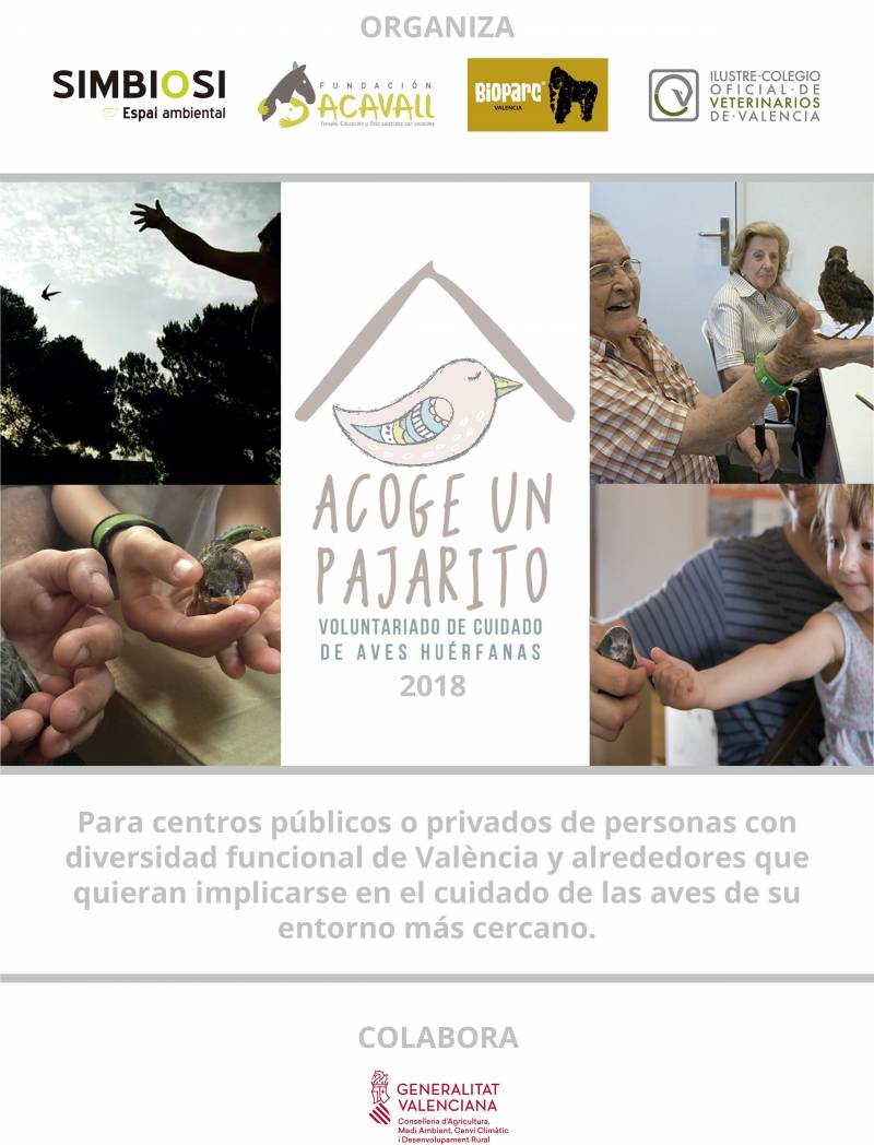 Cartel Acoge Un Pajarito 2018