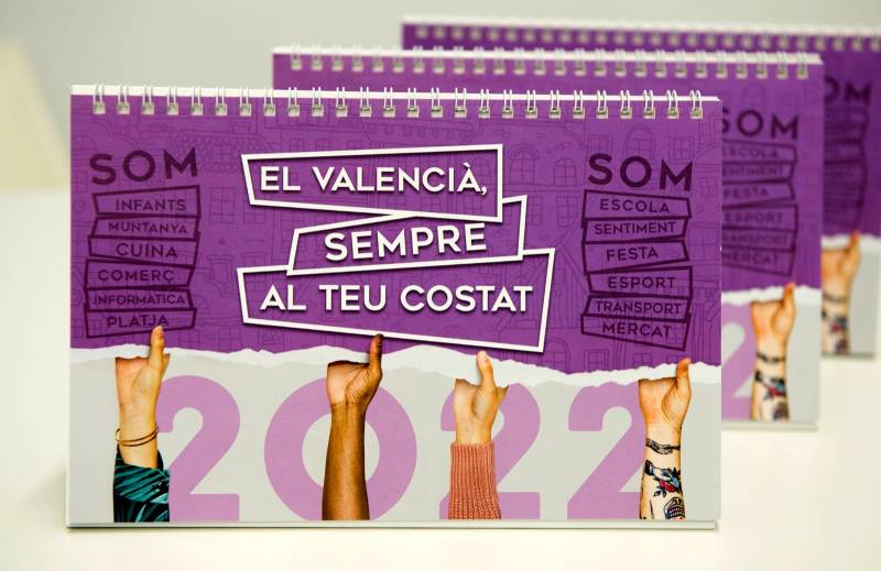 Campanya en la Diputació de València. EPDA
