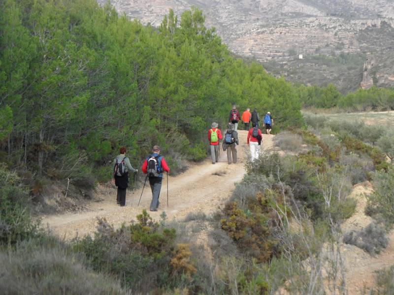 El grupo de excursionistas disfrutando del camino. FOTO VIU