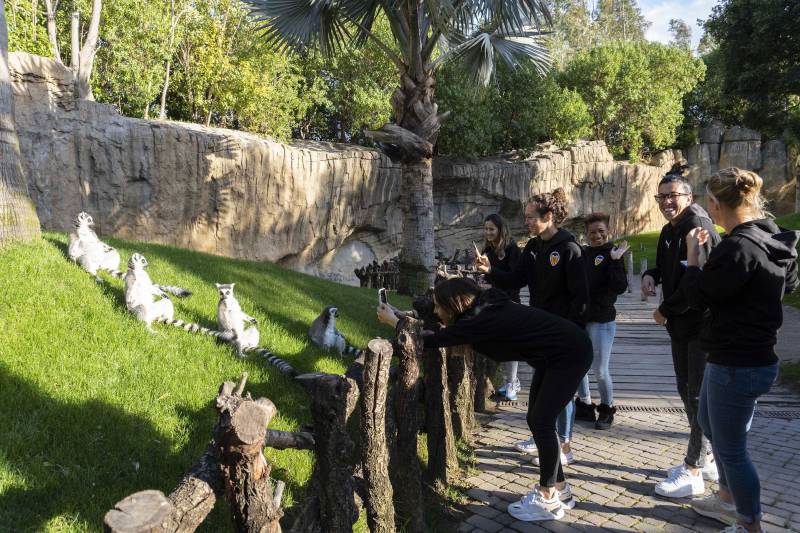 Jugadoras del Valencia CF Femenino visitan BIOPARC Valencia en la semana de la Mujer 2020 Jugadoras del Valencia CF Femenino visitan BIOPARC Valencia en la semana de la Mujer 2020