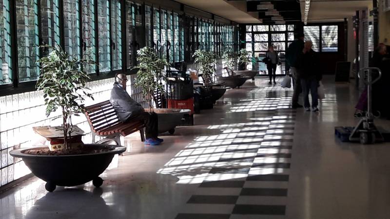 Nuevas plantas en el Mercat de Castella