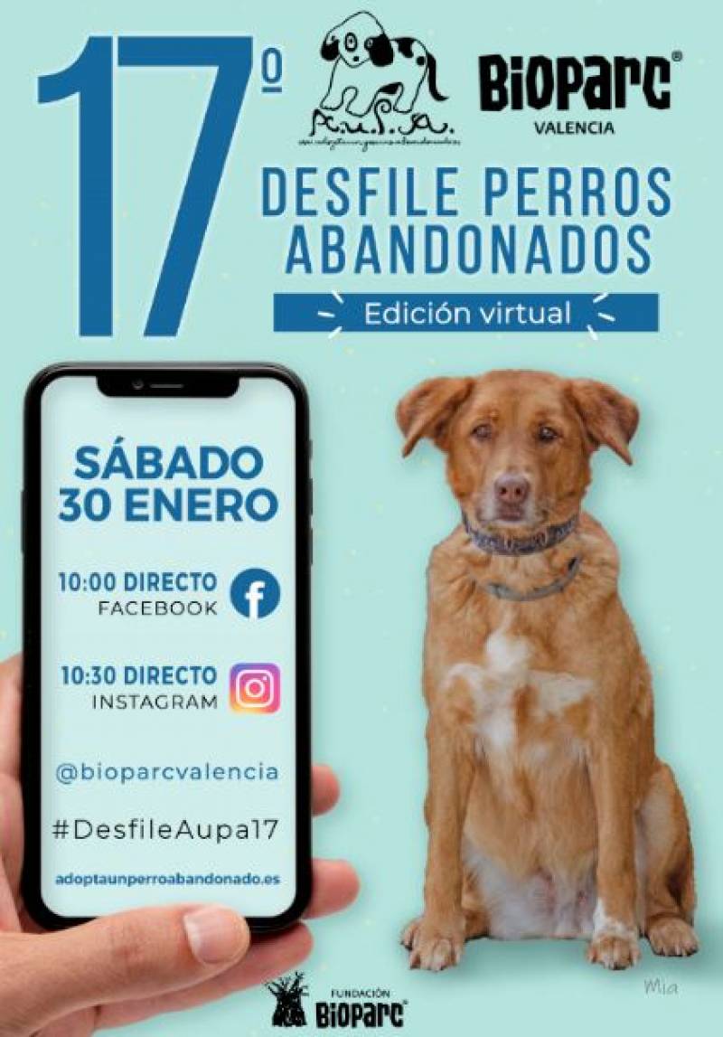 Desfile de perros abandonados. EPDA