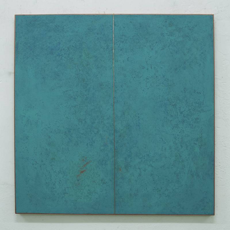 Copper Skin I, Silvia Lerin Copper Skin I, Silvia Lerin