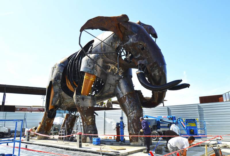El majestuoso elefante de la plaza exterior de BIOPARC Valencia se llamará Escipión - Montaje colmillos - lateral