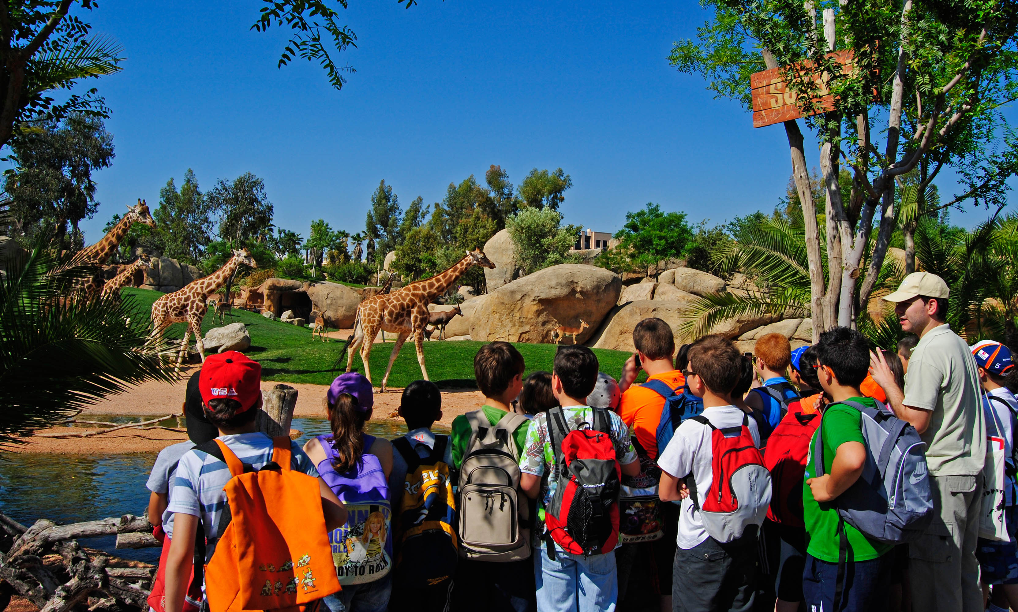 Grupo escolar en la sabana africana de BIOPARC Valencia.