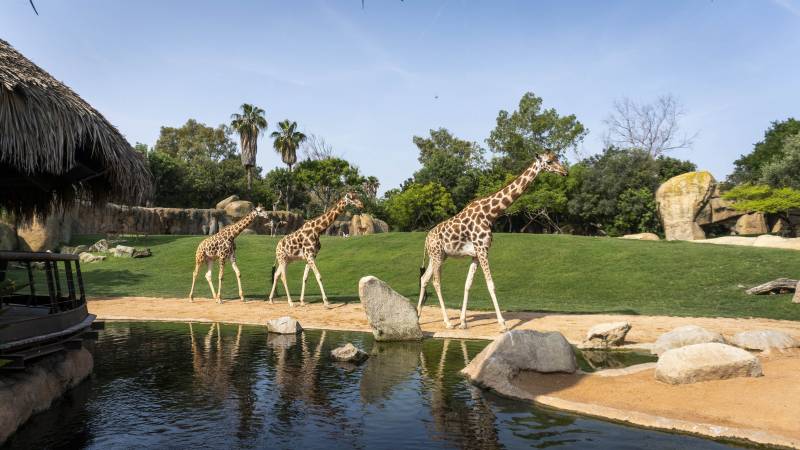 Guadalupe Ferrer (Casa Caridad), y Alfonso Monferrer y Natalia Laudelino (Federación de Pádel de la C. Valenciana), junto a Pau Pérez Rico (El Corte Inglés).