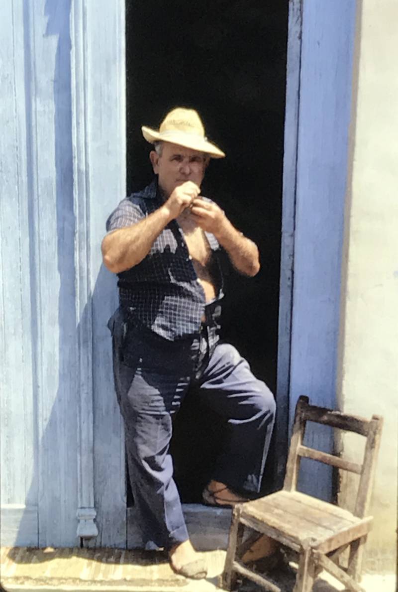 Jarque Jarque
