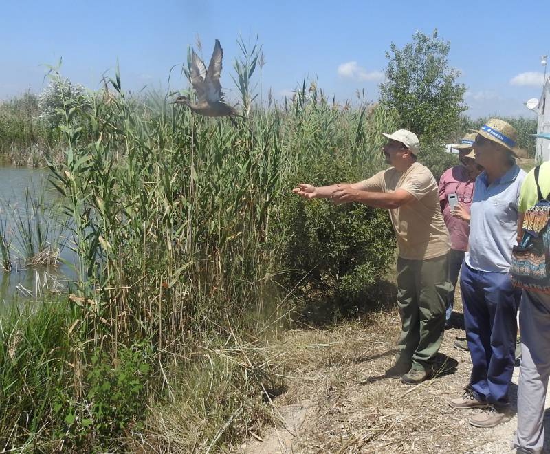 Suelta de especies en l Suelta de especies en l