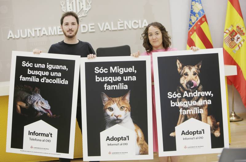 Campaña Adopta