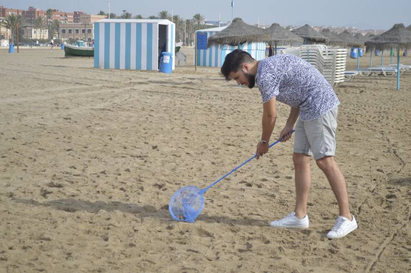 Recogida de colillas en la playa./ EPDA